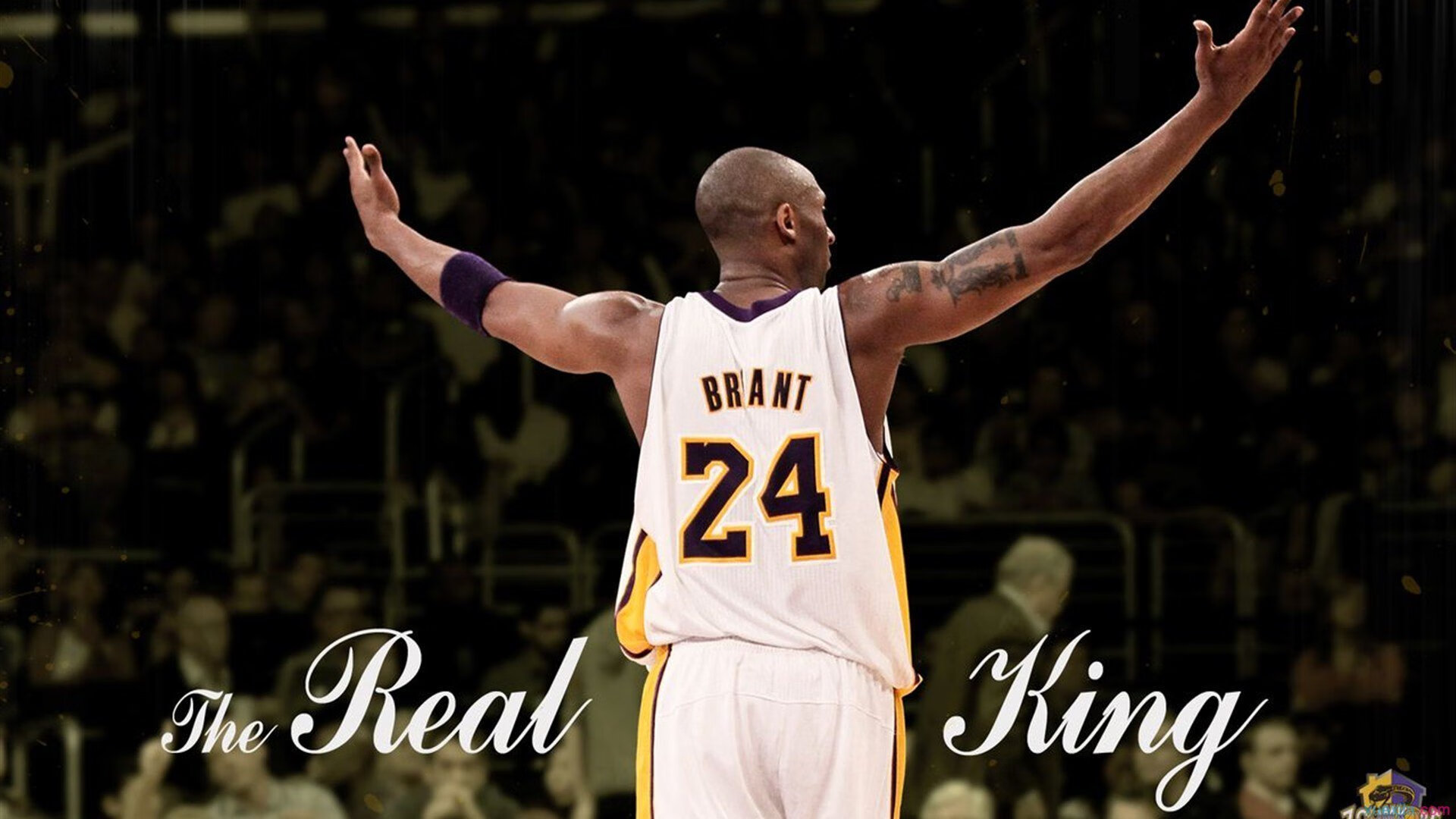 开云体育官方网站-孔德一锤定音！加拿大2-1力克伊拉克，世界杯预选赛关键胜利点燃希望