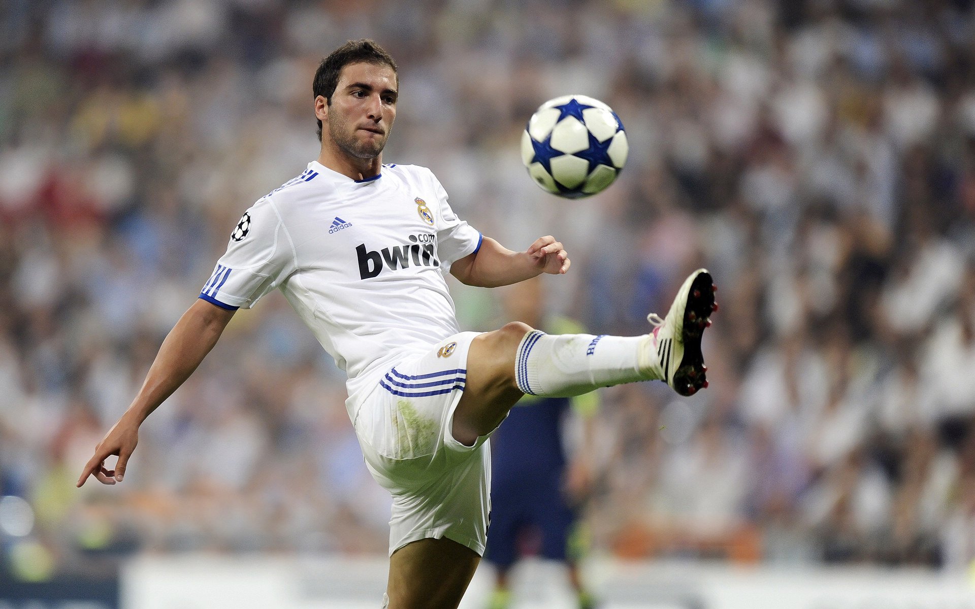 开云下载-绿茵场的烽火与赛道上的青春，巴拉圭的坚韧与加维的崛起，体育世界如何同时书写两种胜利叙事？